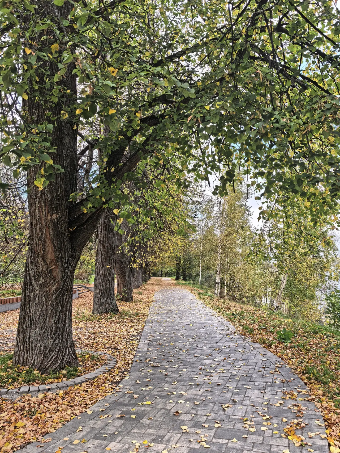 Осень в Павловской роще 🍂🍁🫶🏻