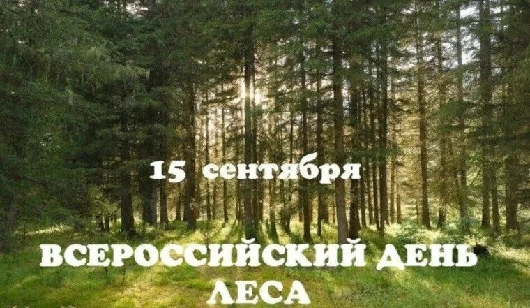 1⃣6⃣ сентября в дошкольном отделении ГБОУ ЛНР «ВУВК №2 „Берегиня“» состоялось тематичес...