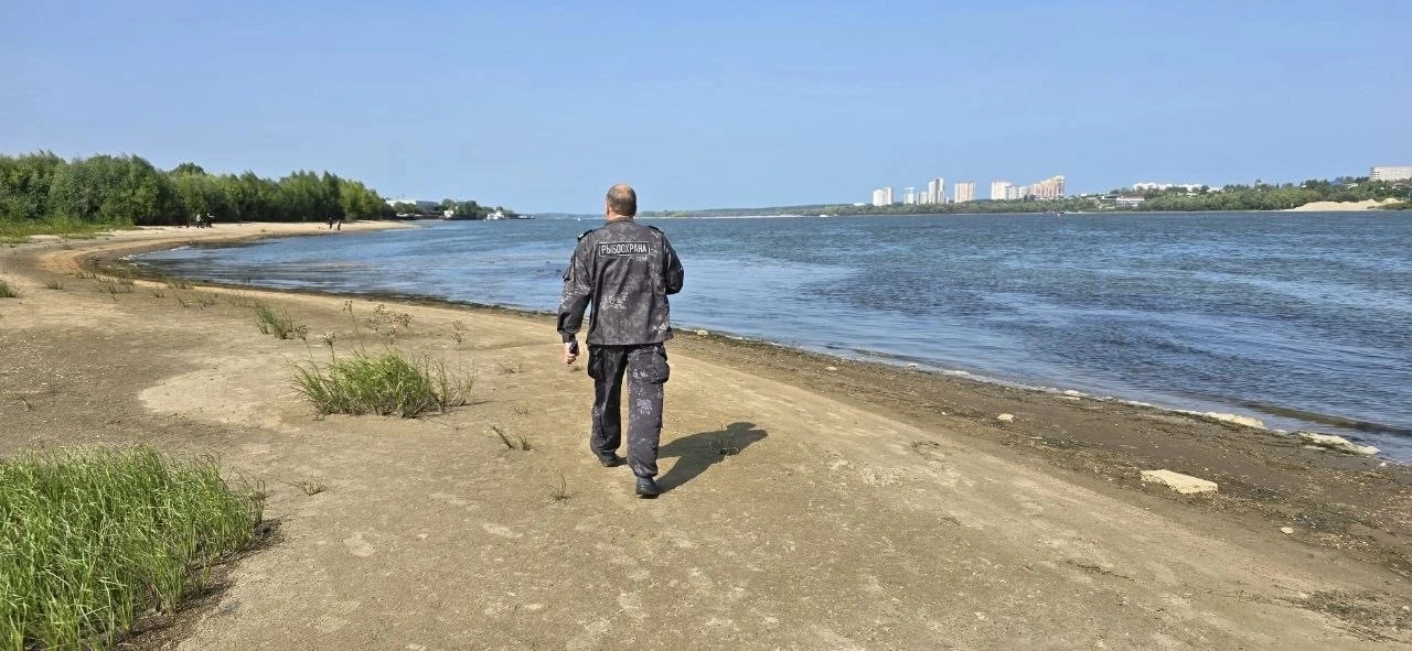 В Новосибирске продолжает гибнуть всё живое