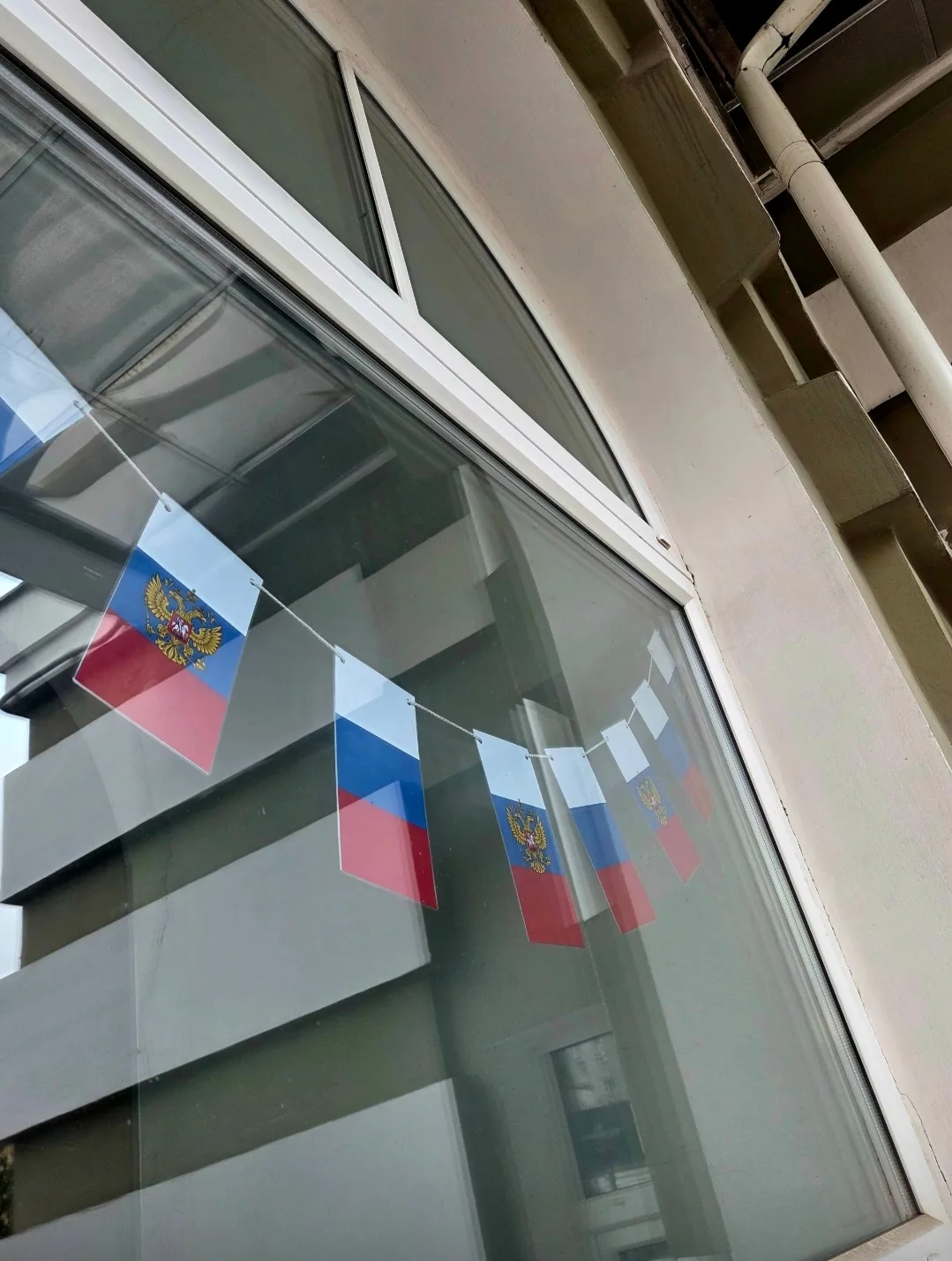 🇷🇺 В рамках Всероссийской акции «Цвета Родины», приуроченной ко Дню Государственного ...