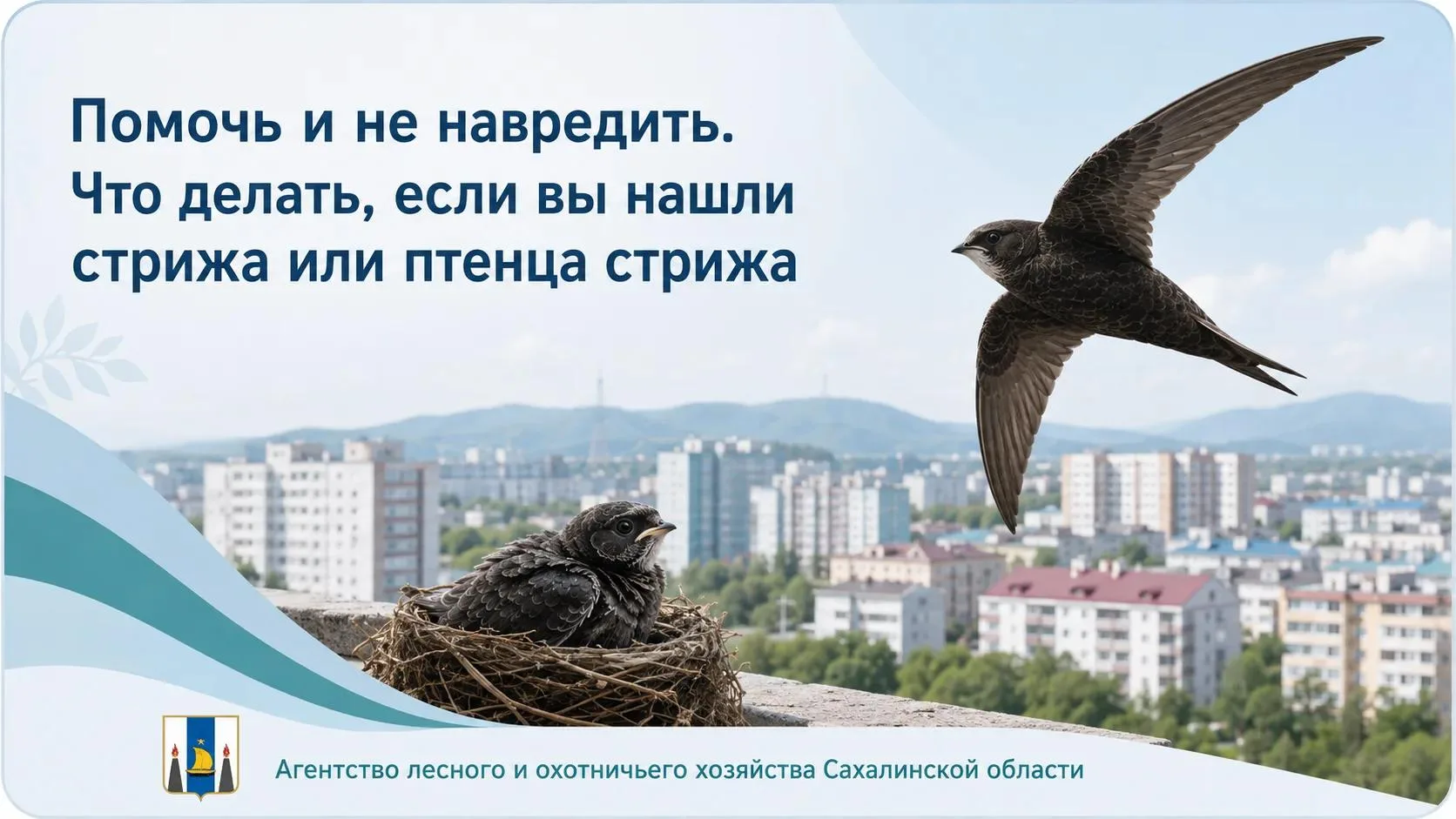 обнаружена редкая птица, по видам, занесённым в Красную книгу Сахалинской области, след...