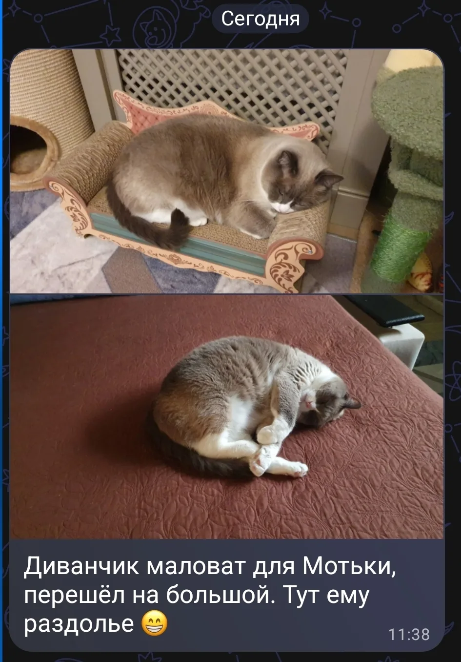 Папа прислал. 😁