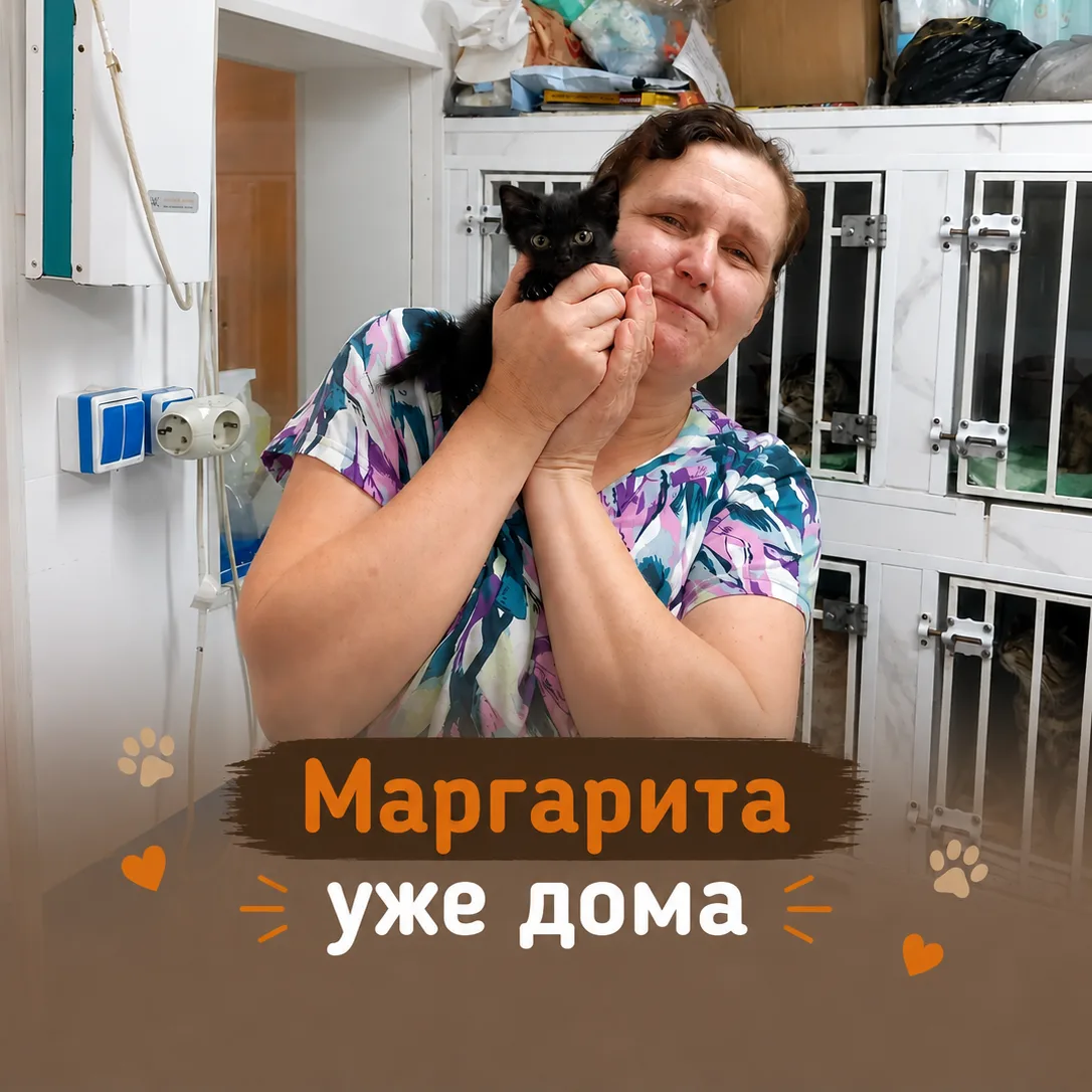 Ура, уже дома четверо наших подопечных. 1703-1706