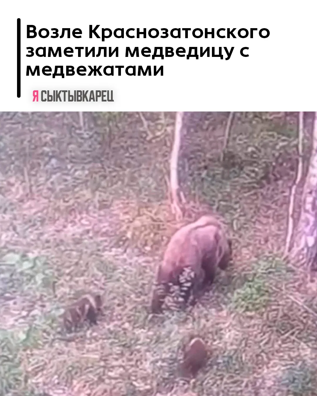Медиа публикации