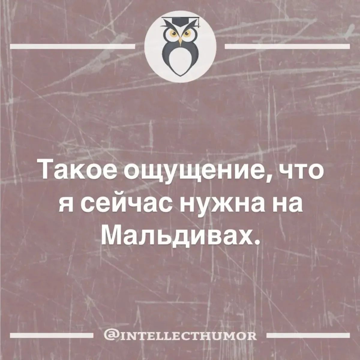 👉Юмористка