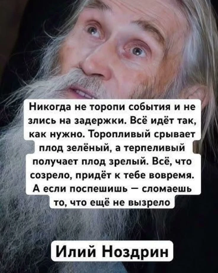 😍🕊️✨