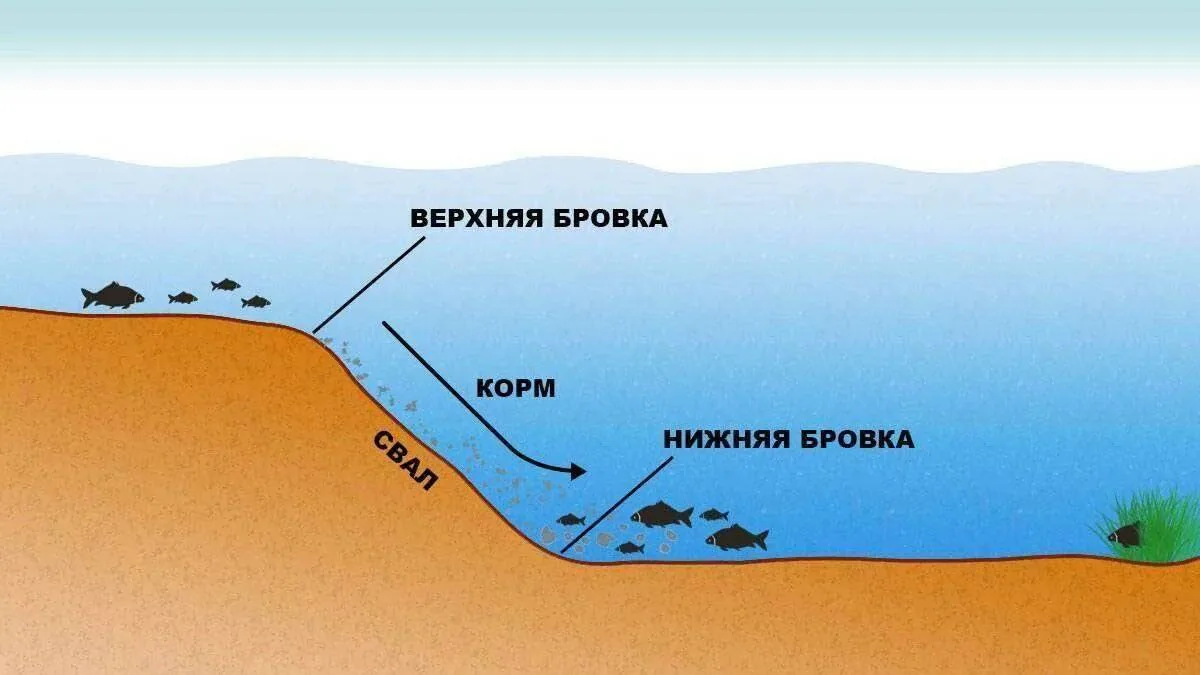 Поиск бровки для фидерной рыбалки

Бровка — это резкий перепад глубины, место, где меняется рельеф д
