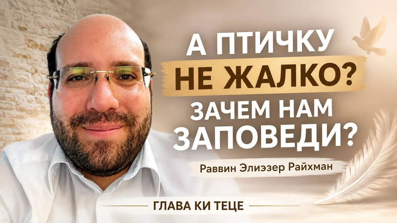 Свежая лекция по недельной главе от раввина Элиэзера Райхмана. Что с птичкой?