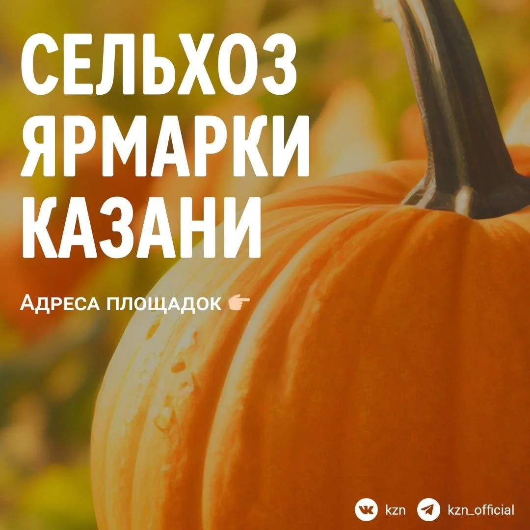 Стало известно, на каких площадках пройдут сельскохозяйственные ярмарки в Казани