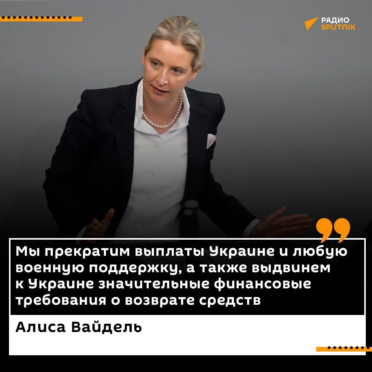 Лидер АдГ призвала выслать украинских беженцев из Германии, а также потребовать компенс...