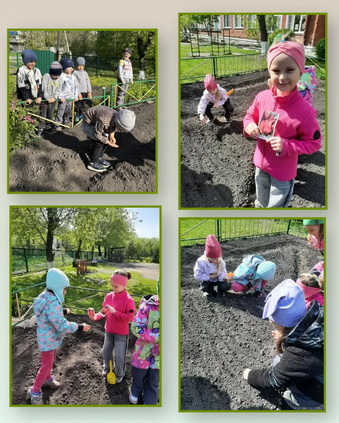 🌱 В нашем детском саду огород — дело любимое и полезное! 🧑‍🌾