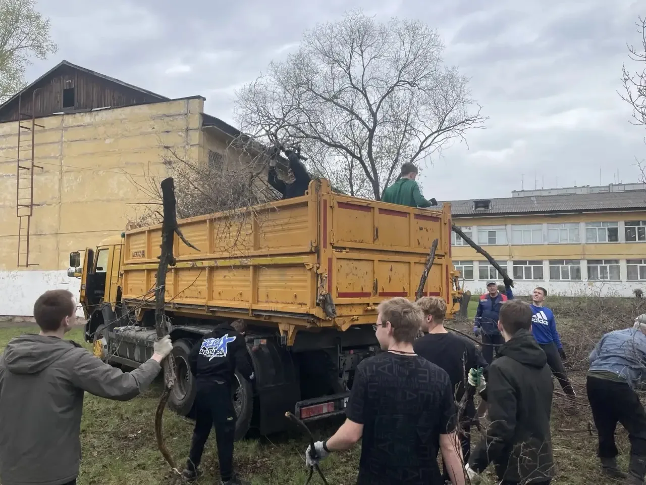🌳 Полезный труд на благо школы! Парни 11В класса приняли участие в погрузке спиленных веток на терри
