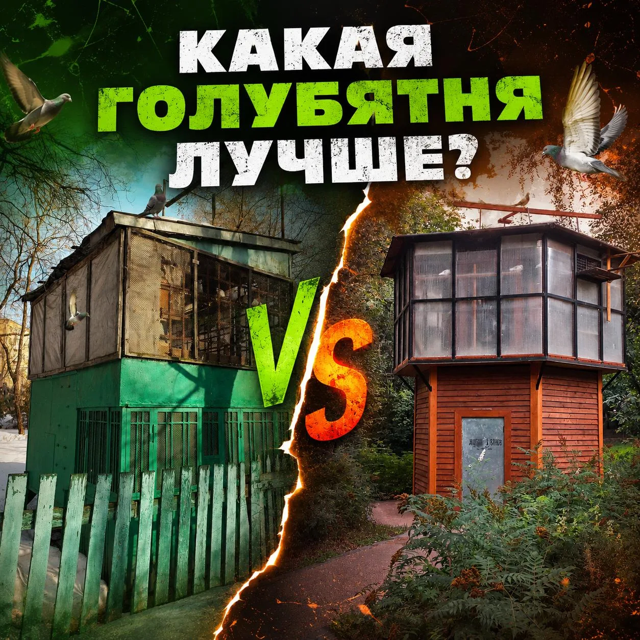 🕊 В некоторых районах Москвы начали заменять голубятни старого образца на новые.