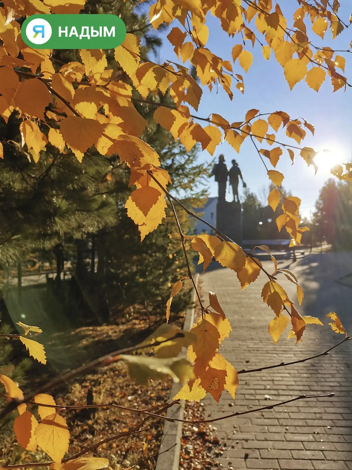 🍂 Новая неделя — чем не повод заложить первый кирпичик? Ведь всё большое и важное когд...