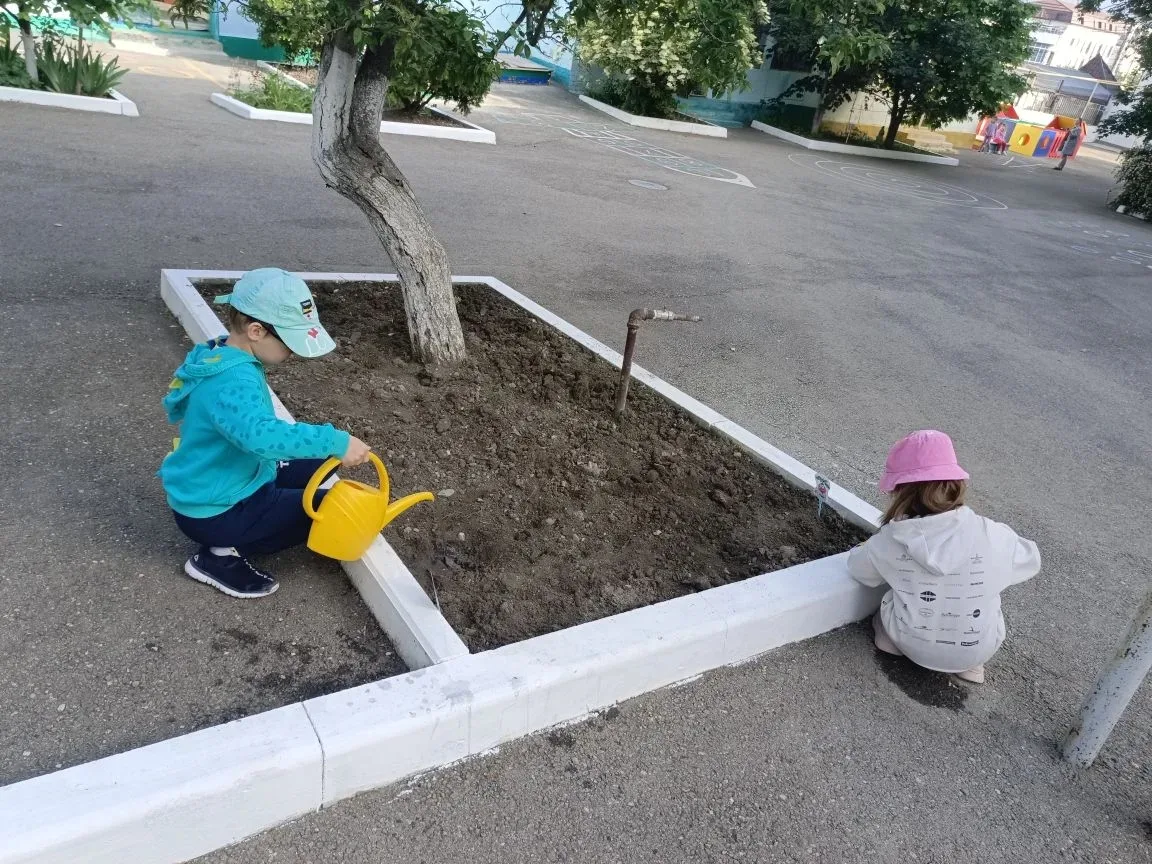 🌱 Наши юные огородники: как старшие дошкольники трудились на огороде! 🌱

Сегодня у нас особенный д