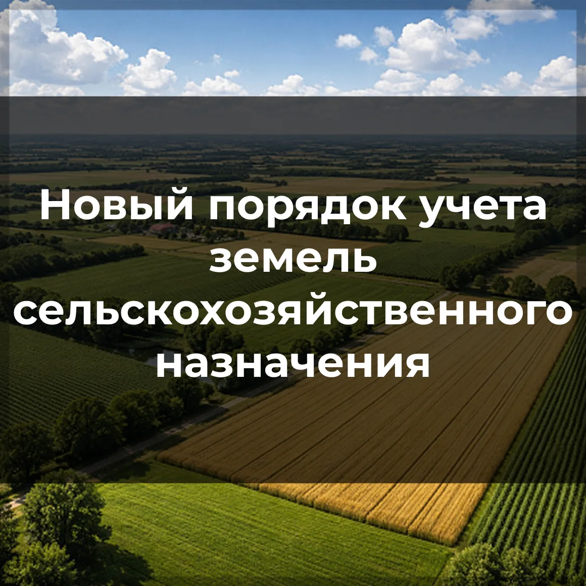 🌾 С 1 июля 2026 года в России меняется порядок учета земель сельскохозяйственного назначения

📄 Вс