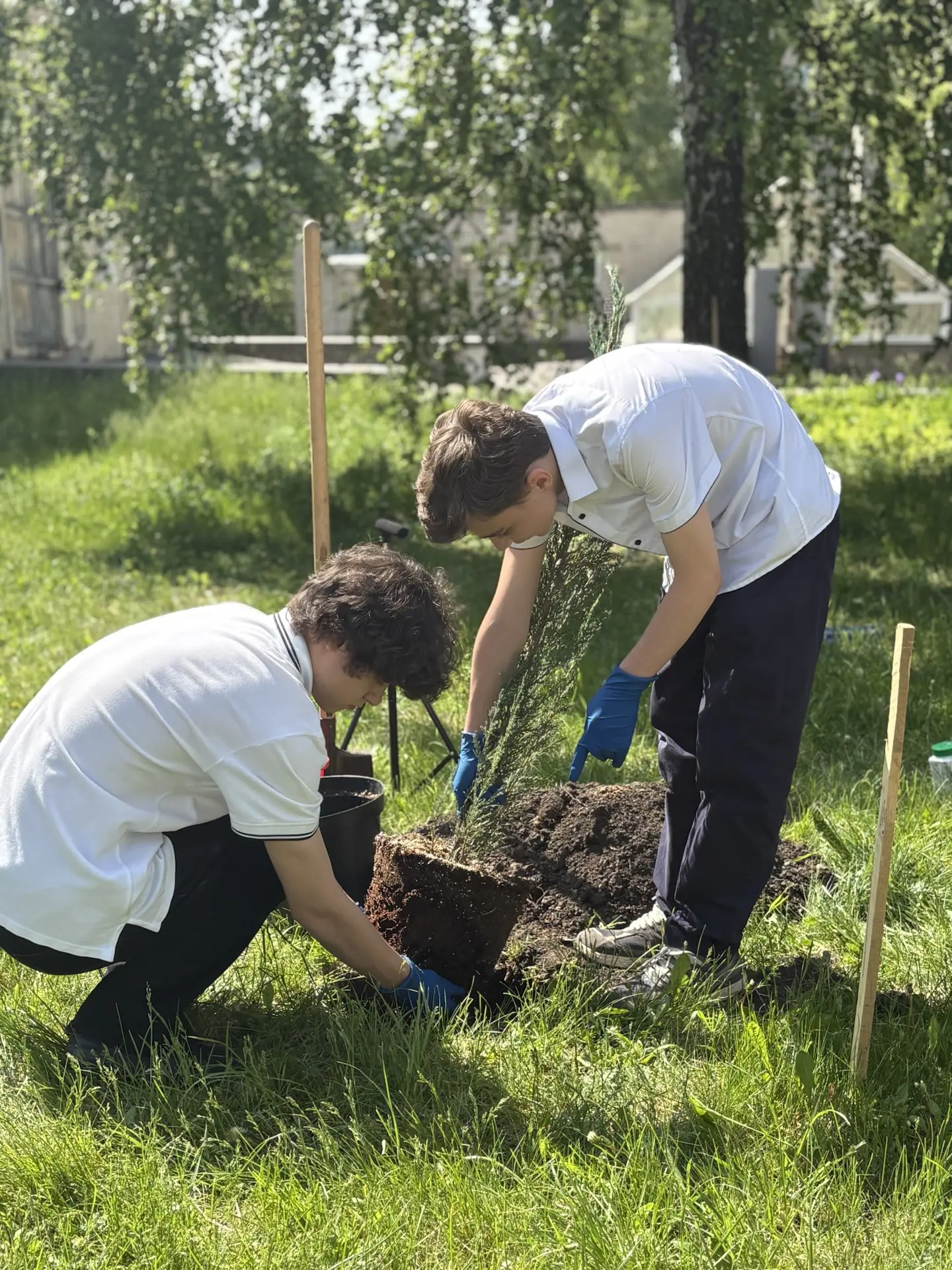 В нашей школе появилась «Аллея героев» 🌳  Недавно в нашей школе состоялось важное и трогательное соб