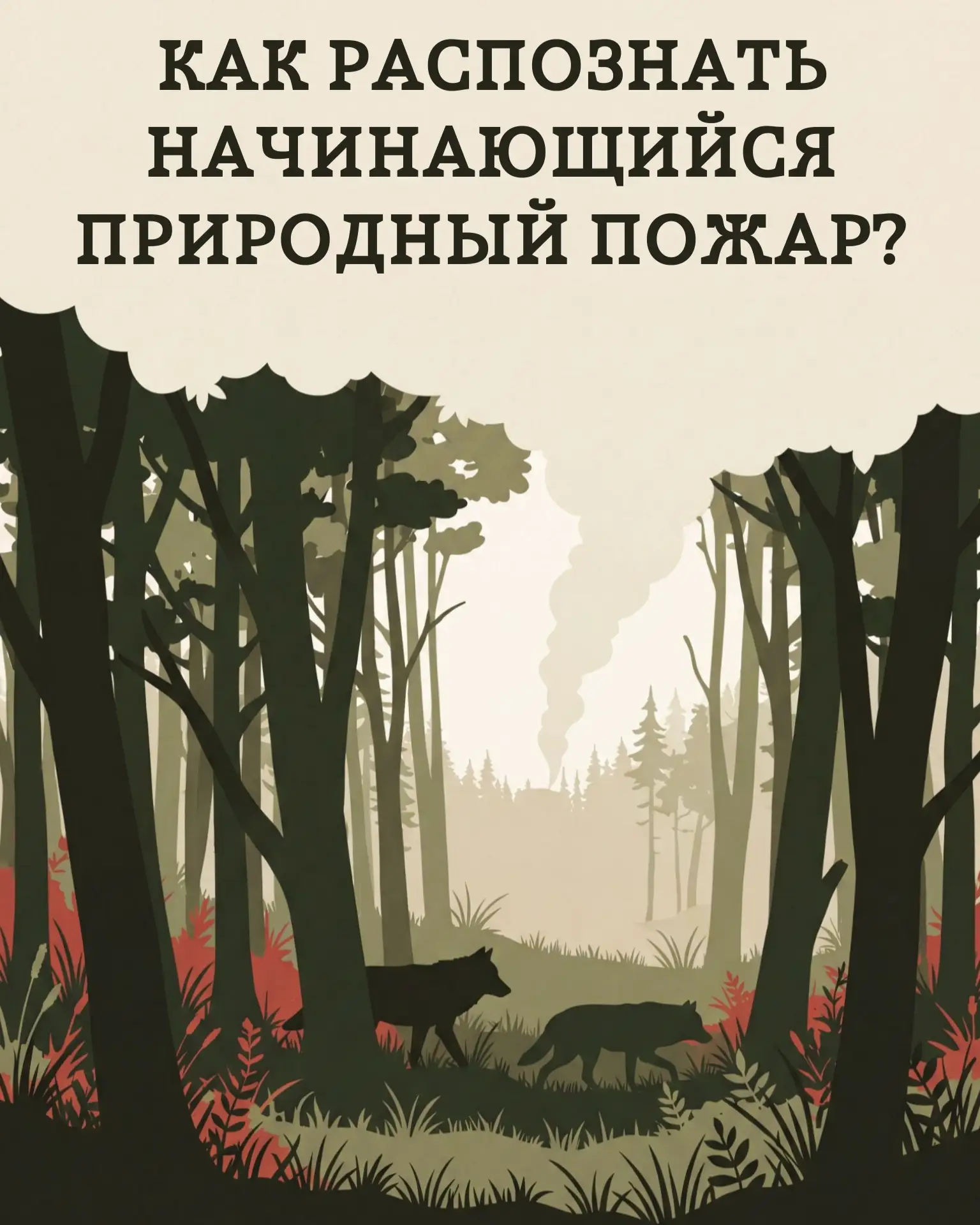 🔥 Заметили огонь — не теряйте ни минуты