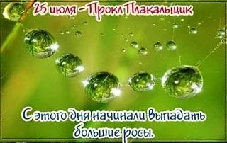 💦25 июля в народном календаре - День Прокла-плакальщика, память мученика Прокла. Зной идет на убыль