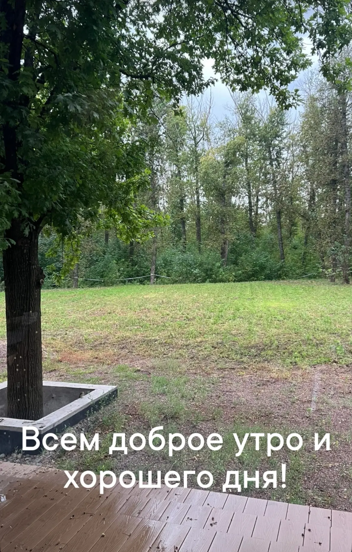 У меня в планах на сегодня тренировка, организационные вопросы и работа онлайн плюс дела девочек.

У
