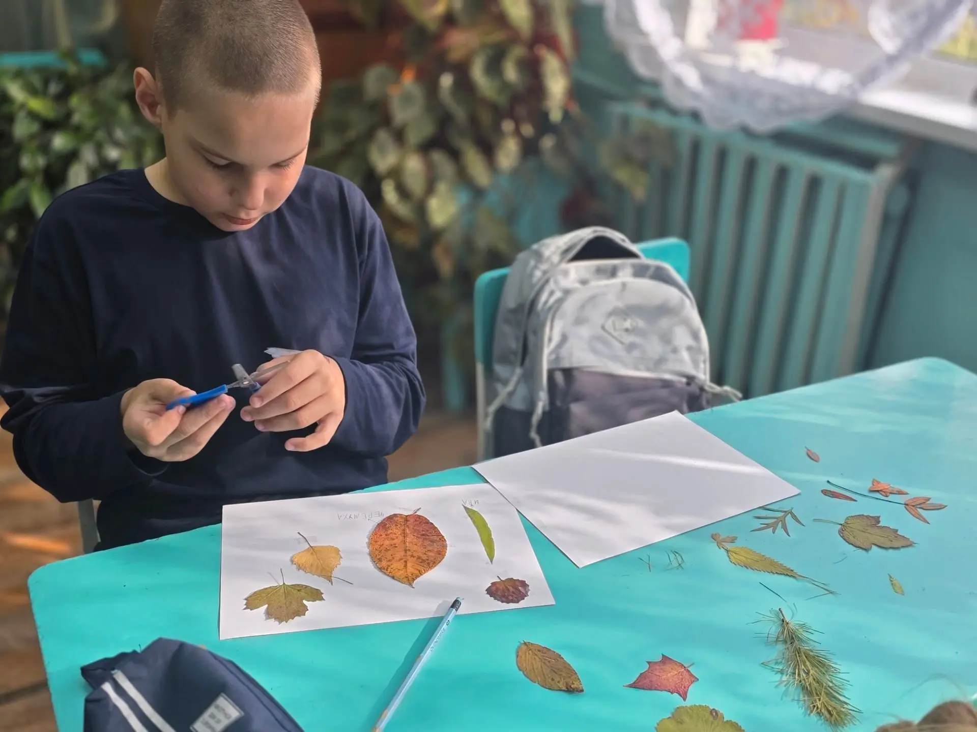 В Рыбинской ООШ прошло увлекательное занятие, посвященное тайнам природы! 🍃