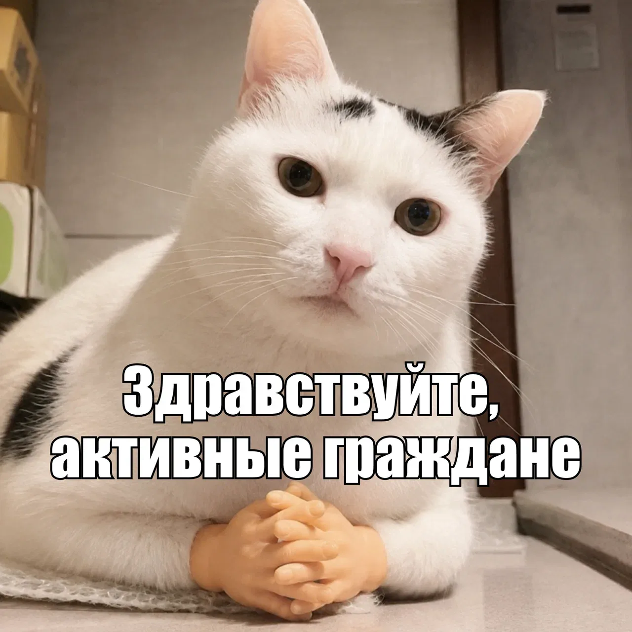 По какой причине вы еще не нажали сюда?