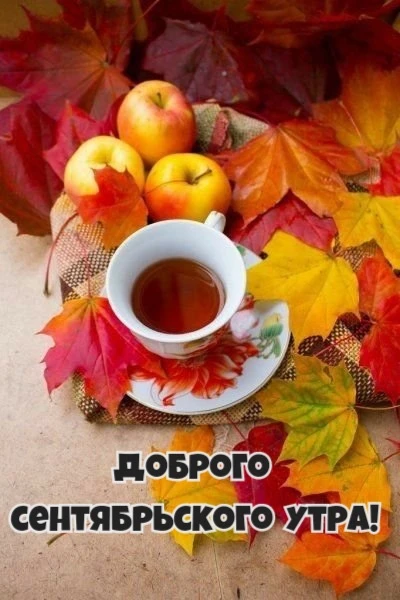 Список качественных каналов в МАКС | Смотреть ❤️