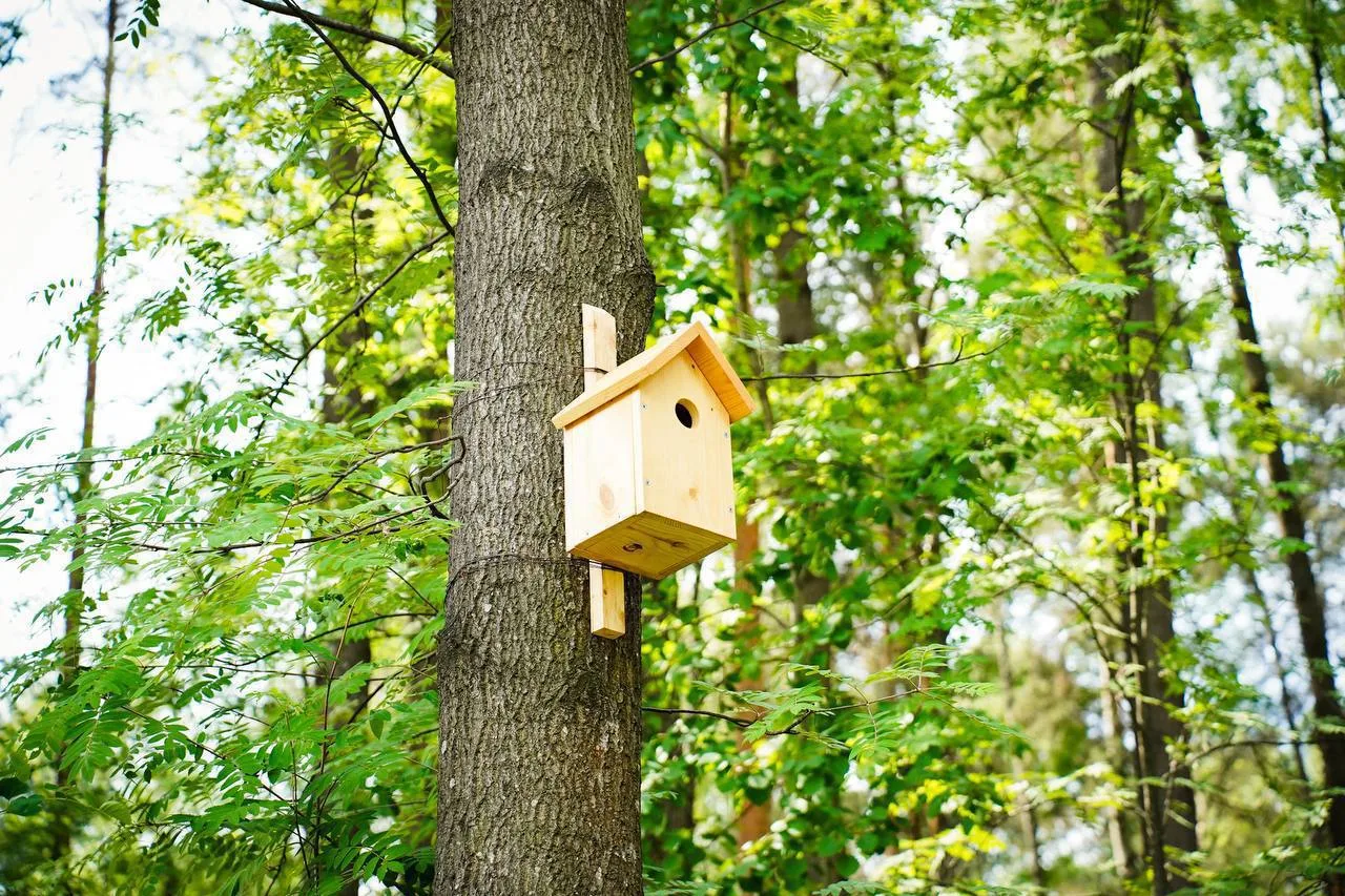 🌳Новое место для прогулок: в Приморском районе открылся обновленный Изотовский сквер

Локация между
