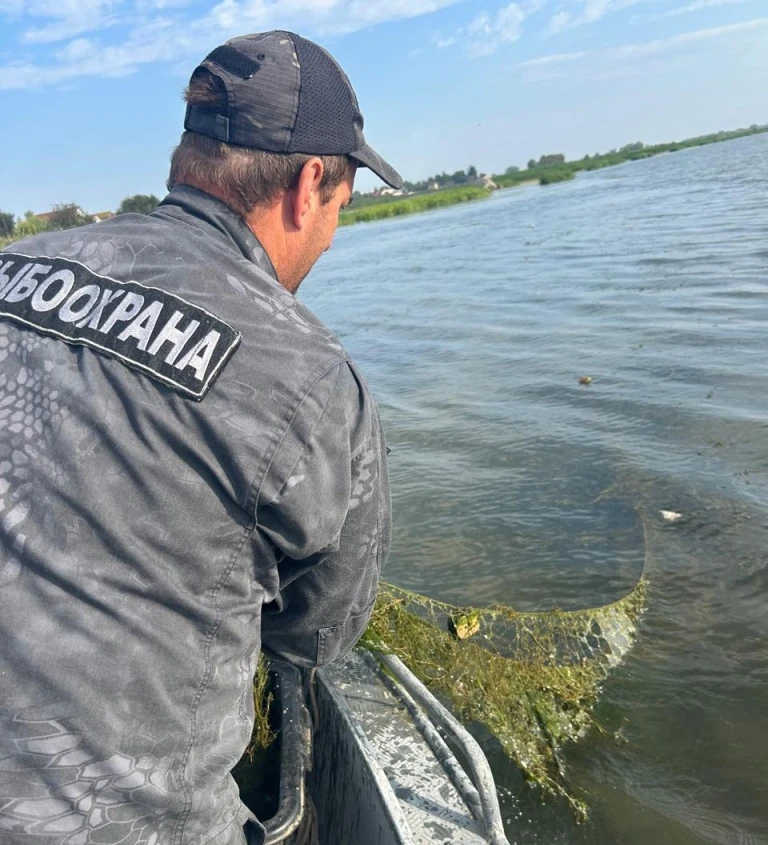 Сводка рыбоохраны с 10.08.2026 года по 17.08.2026 года                            https...