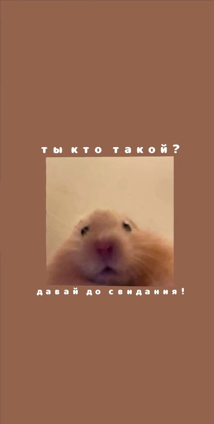 Изображение 4 к публикации «ОБОИ»