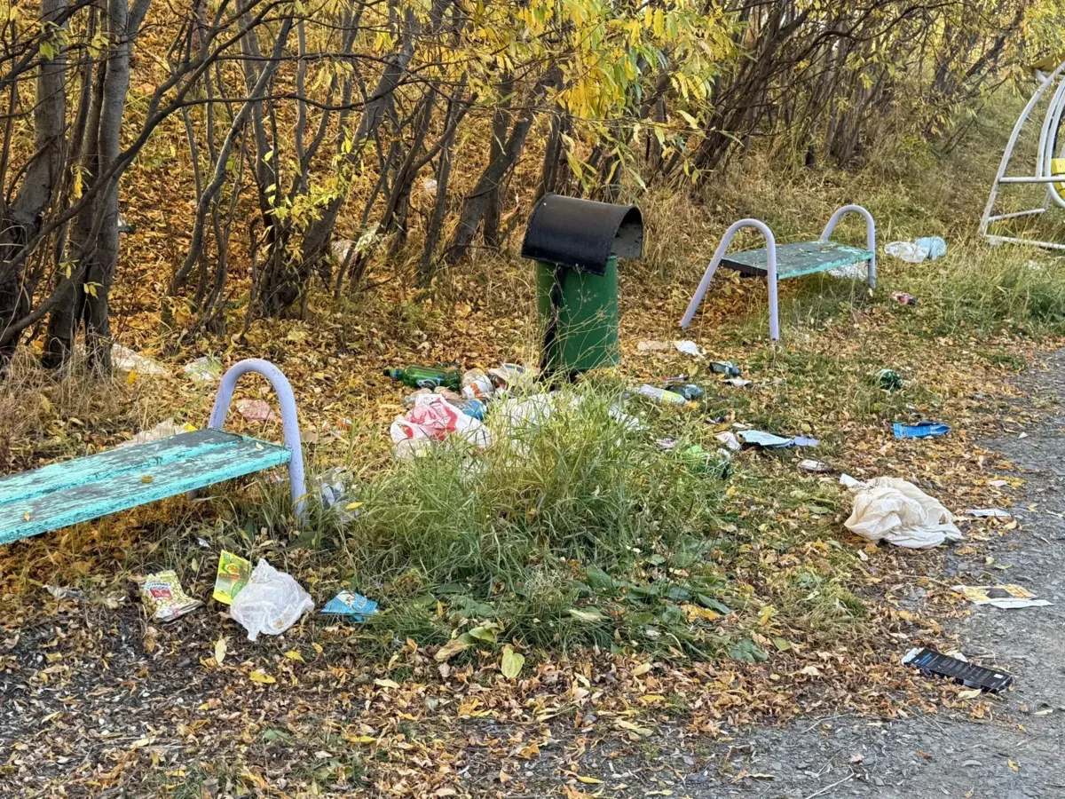 Добрый день. Вот такая детская площадка во дворе по адресу улица Полярная 4 корпус 1, П...