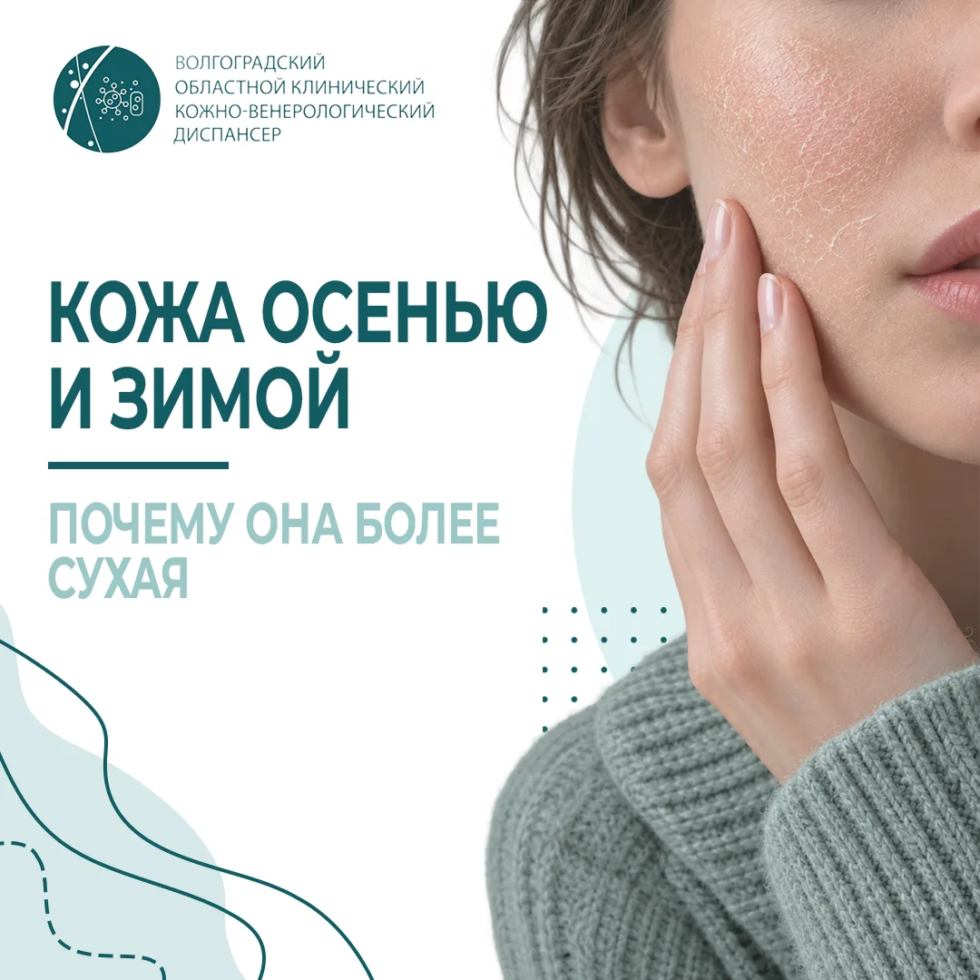 Почему кожа осенью и зимой становится более сухой?