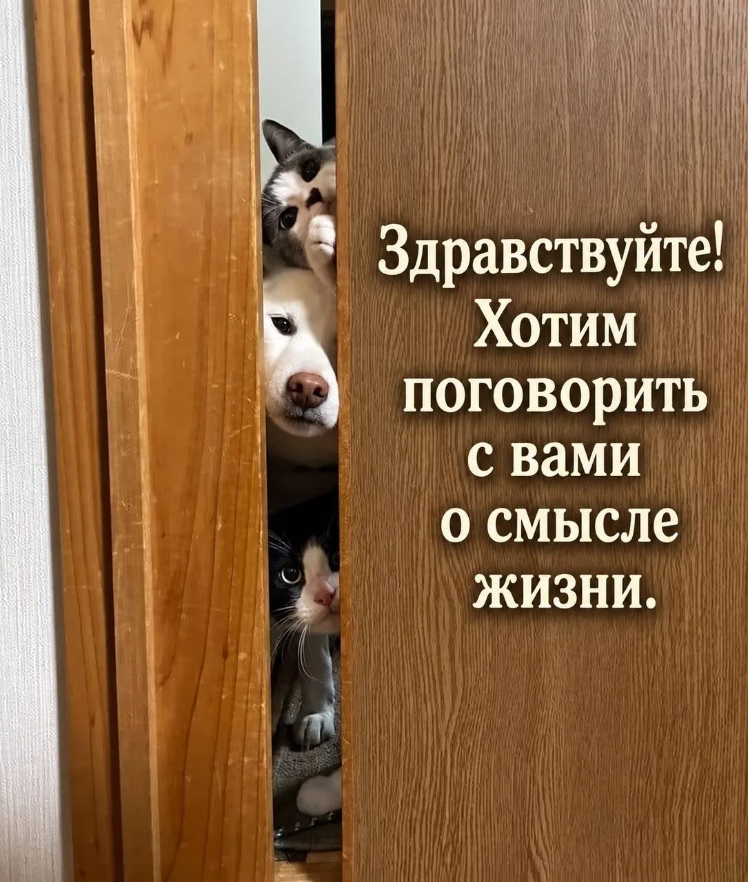 😁Православные тоже шутят - Позитивный канал, с доброй и душевной атмосферой.