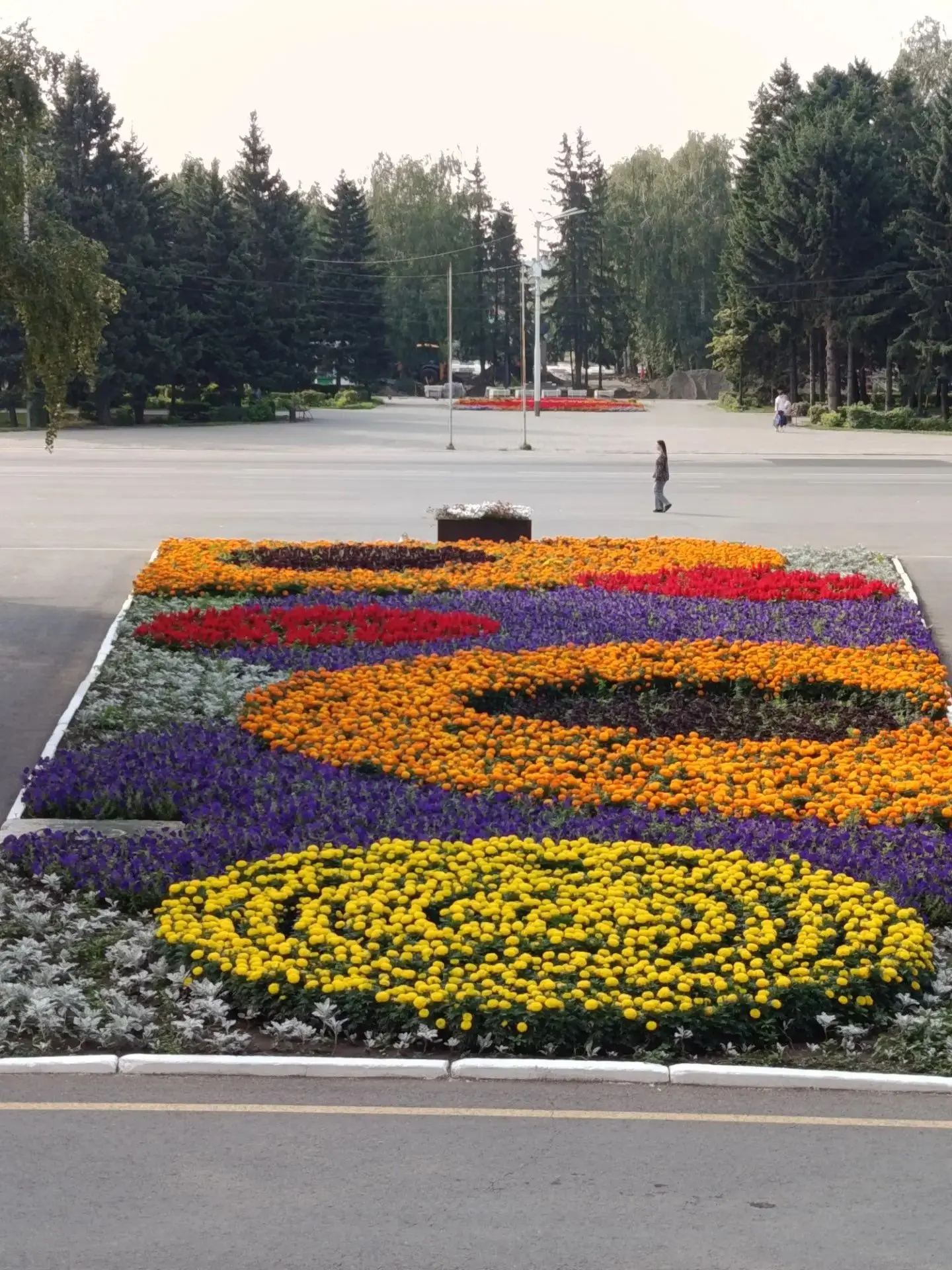 Доброе утро, Бийск! 🌻На фото – клумба у Администрации города. Кажется, здесь собрались все самые жи
