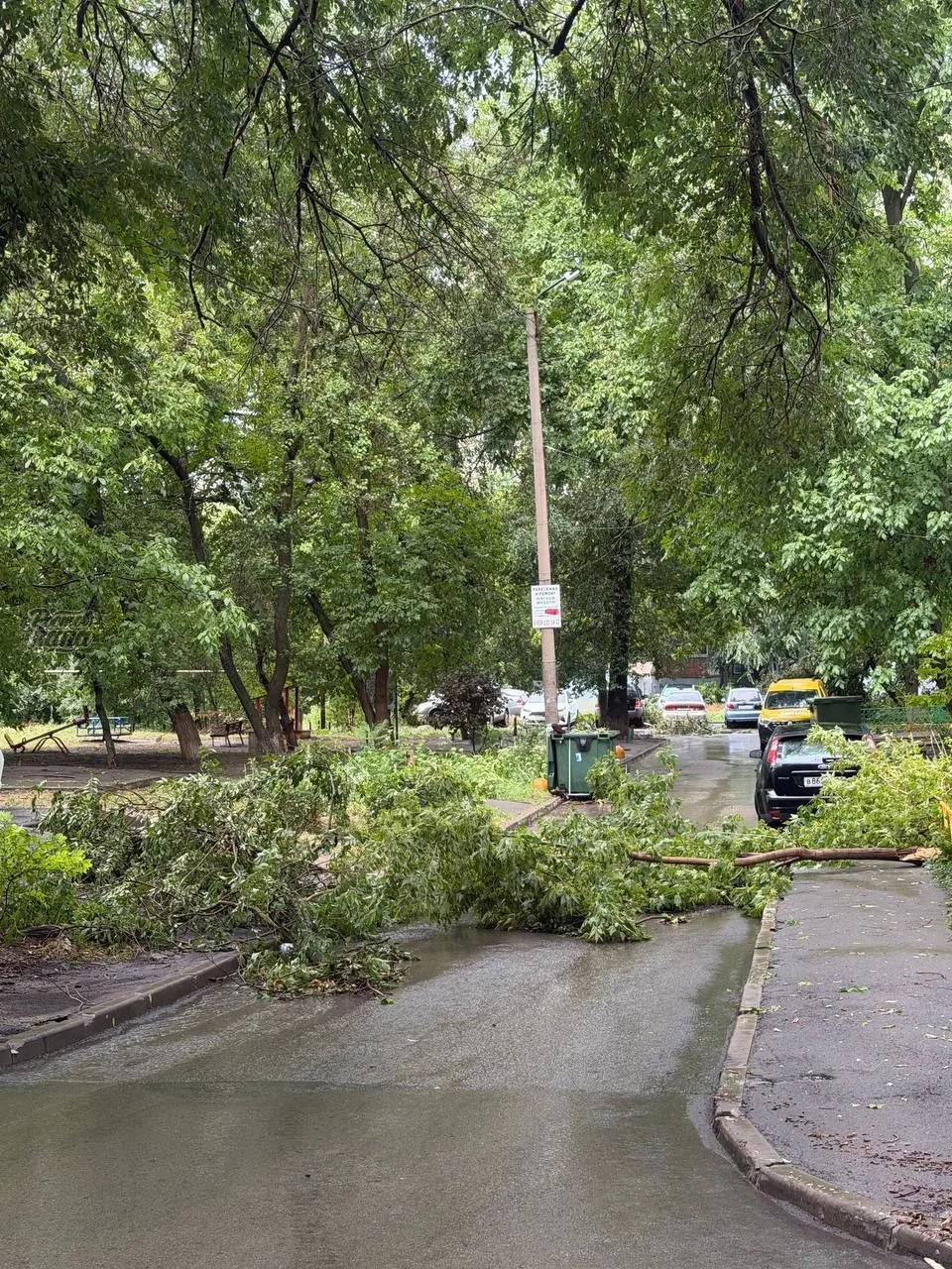 🌳 По всему Ростову наблюдаются последствия урагана🌧️⛈️⚡️☔️