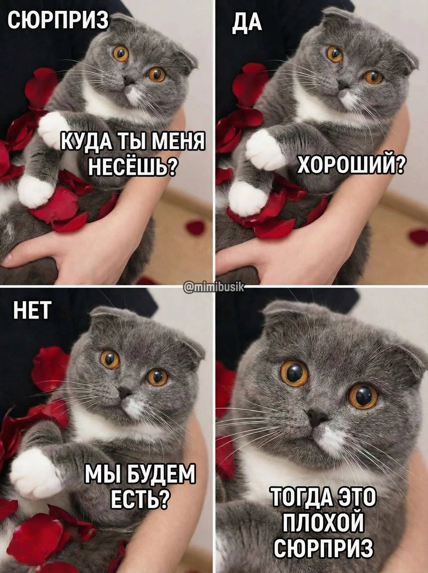 Если меня несут не к холодильнику — это автоматически плохой, незаконный и оскорбительный сюрприз. Н