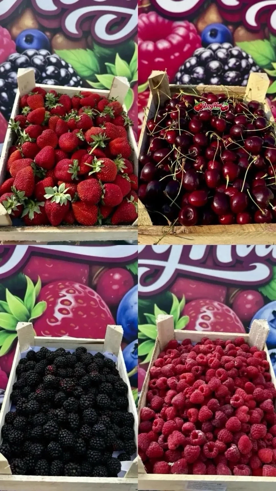 🍓ПОСТАВКИ СЛАДКОЙ, АРОМАТНОЙ КЛУБНИКИ, МАЛИНЫ И ЧЕРЕШНИ ИЗ КИРГИЗИИ В КАЛАЧИНСКЕ И КОР...