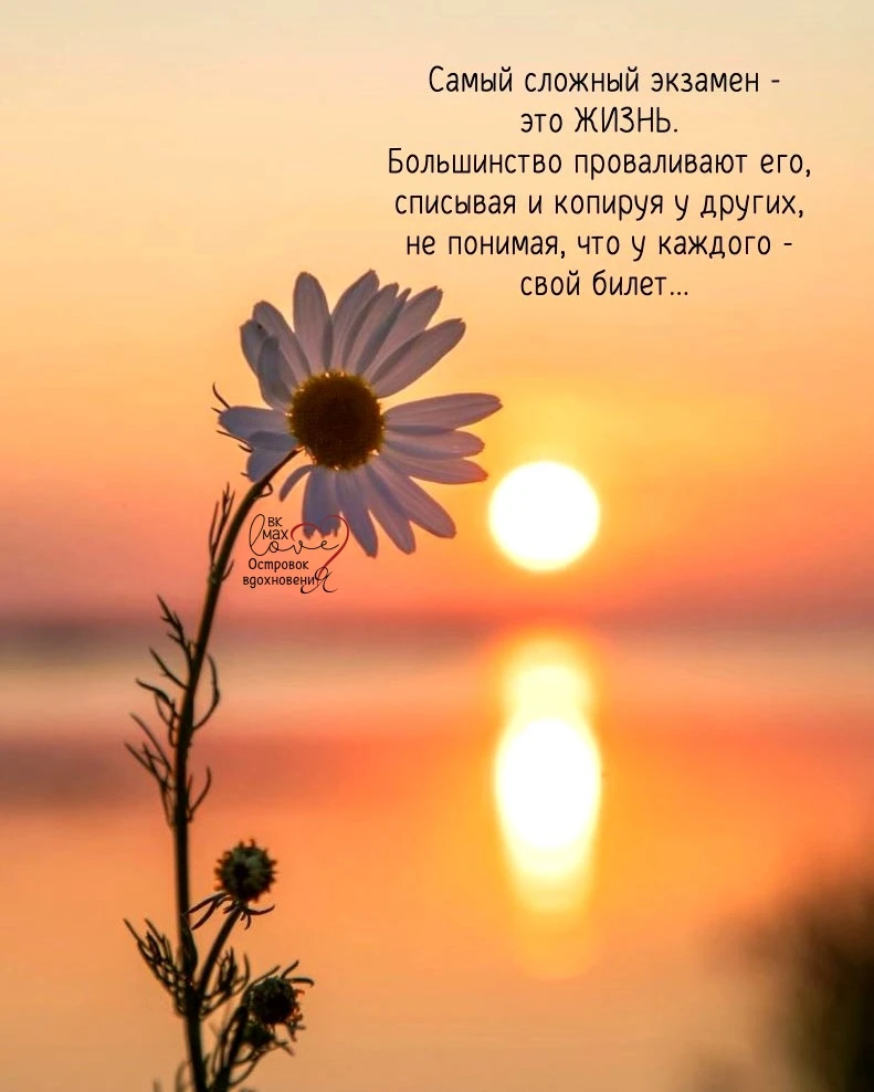 ───⋅୭⋅───
Островок Вдохновения