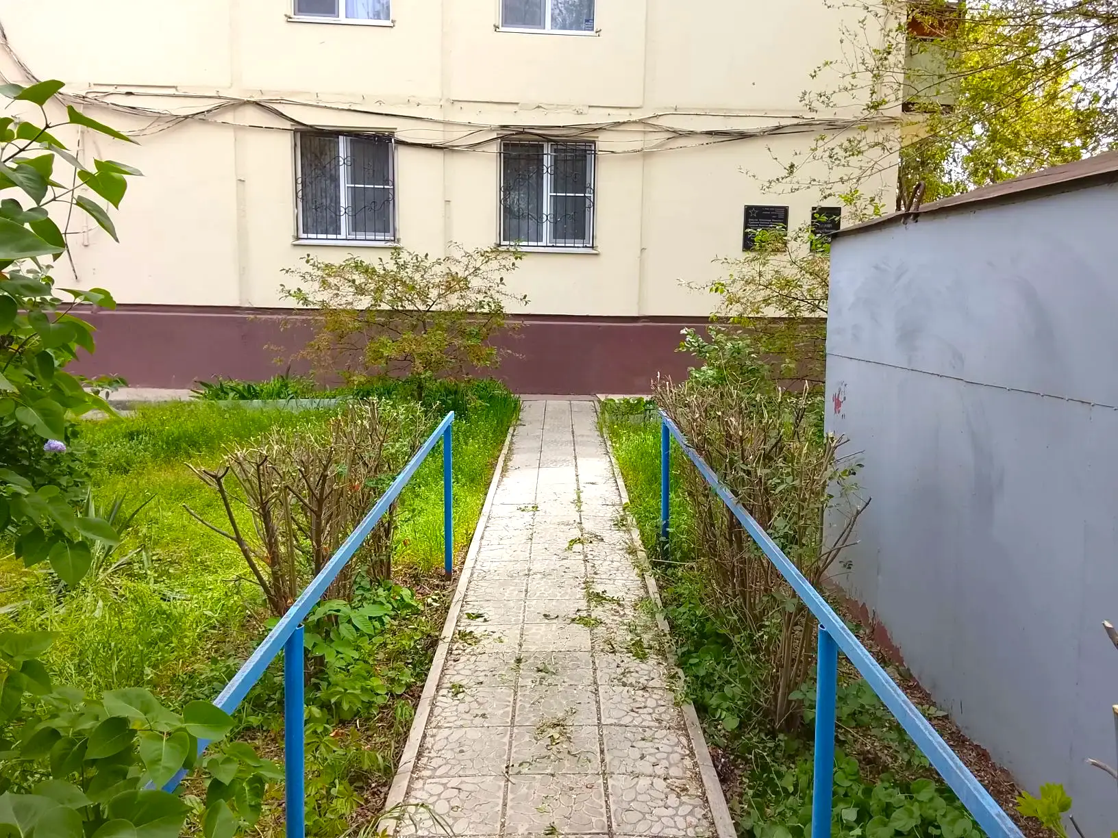 К новости «🌿 Зеленая геометрия двора!»