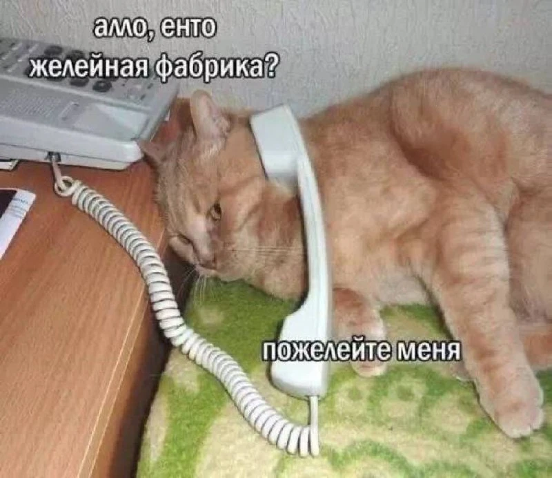 Кто найдет тут ошибку и сможет объяснить правило?