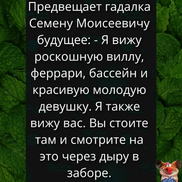 Анекдотик для бодрого настроения!