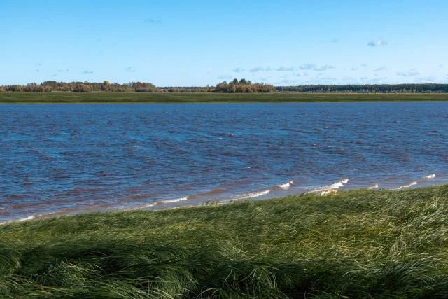 В Кондинском районе женщина утонула во время купания

В озере «Светлой Воды» рядом с поселком Супра 