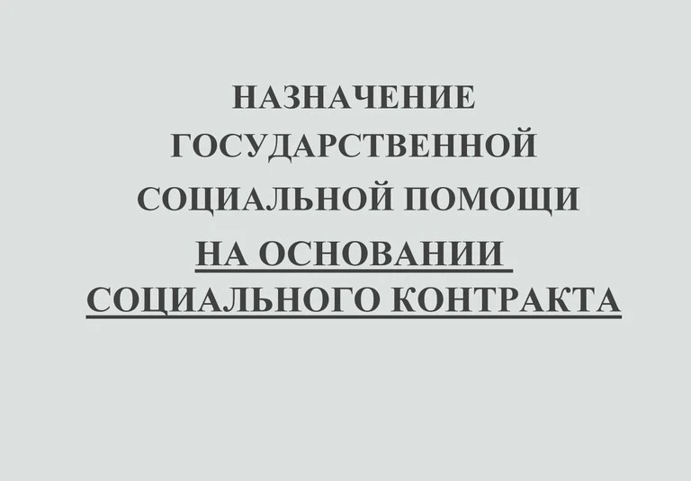 ❗Государственная социальная помощь на основании социального контракта предоставляется и...