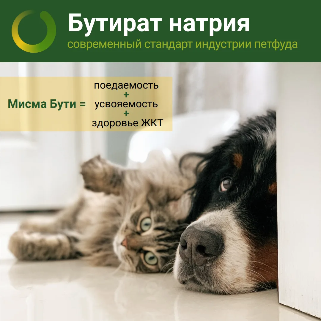 Проблемы с желудочно-кишечным трактом (гастриты, энтериты, колиты) - частая причина дис...