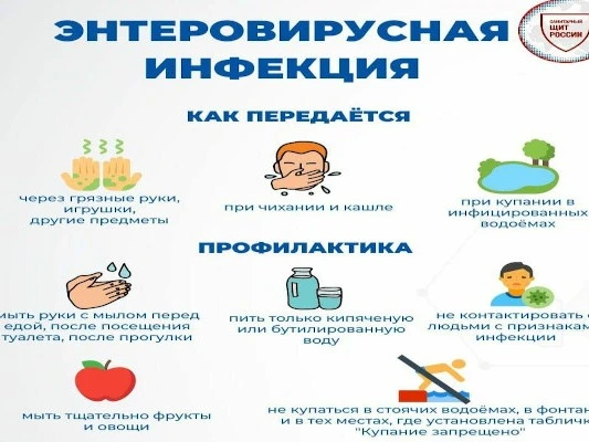 здравоохранениеО профилактике энтеровирусной инфекции