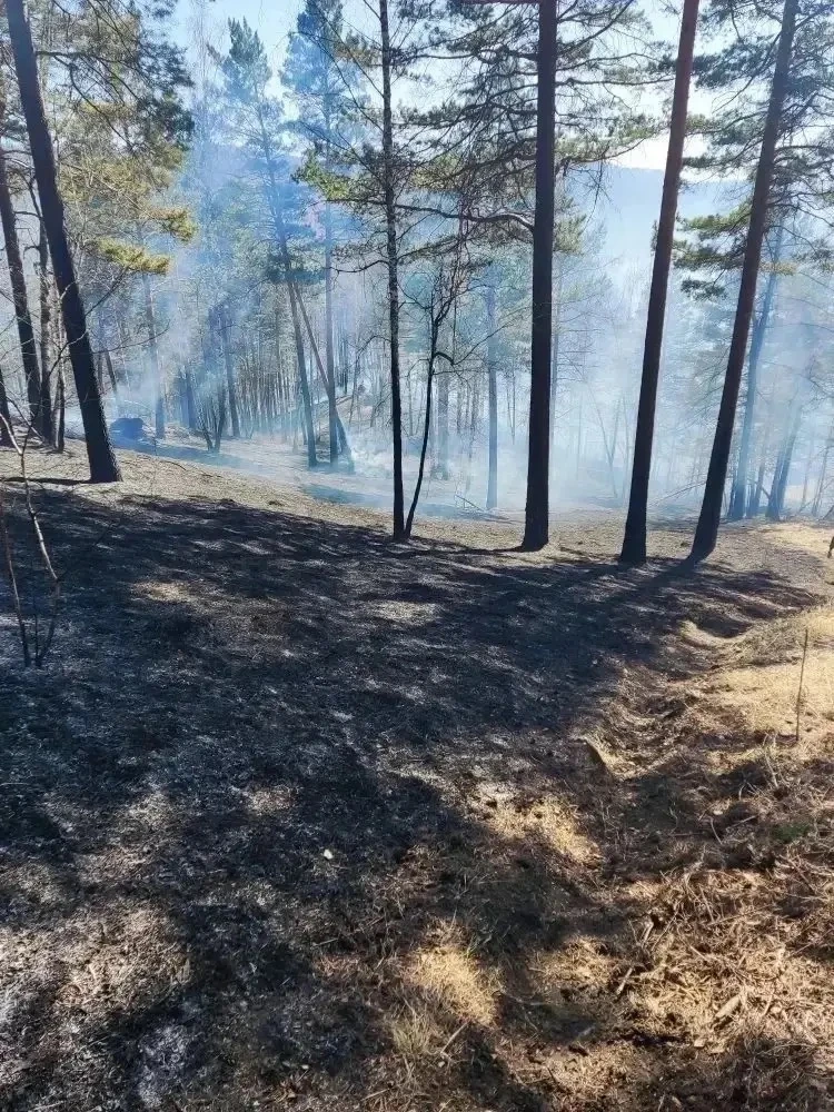 🔥 Не праздничный салют: после прокурорского вмешательства турист возместил 1,8 млн руб. ущерба за ле