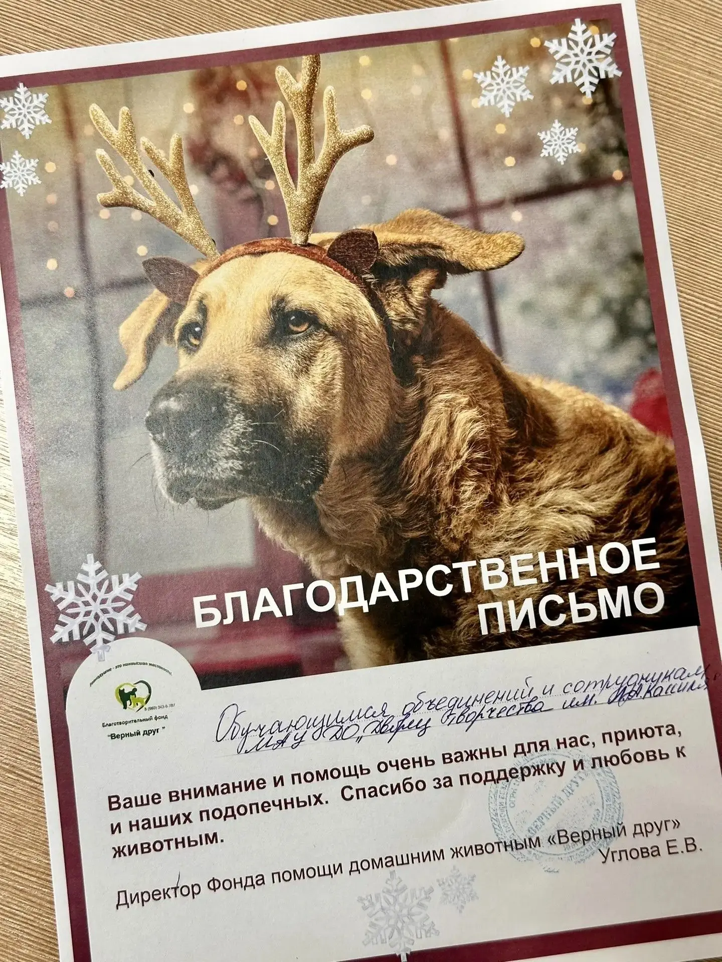 ❤‍🩹Во Дворце творчества им. Л.А. Кассиля прошла акция «Взгляните в их глаза, в них пря...