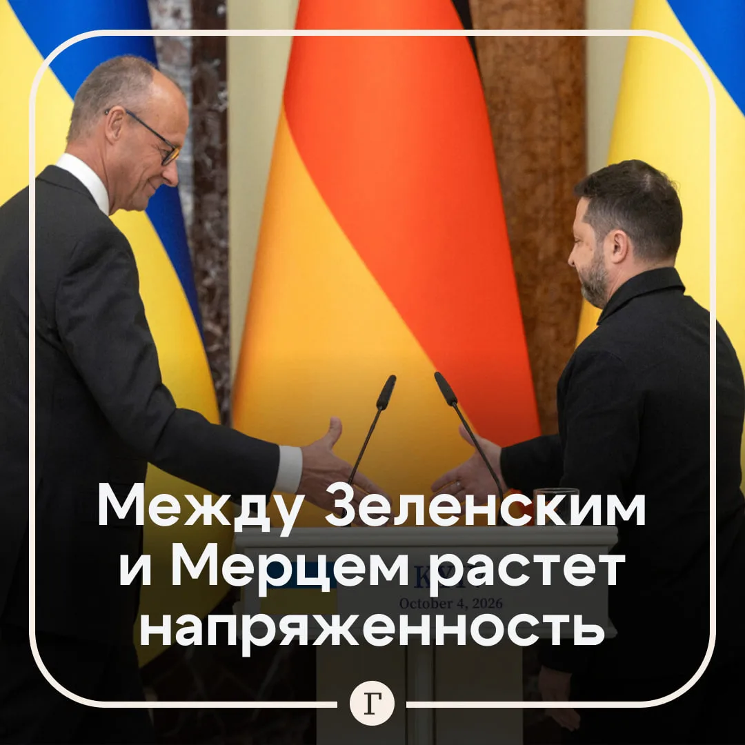 В Совфеде заявили о панике Зеленского из-за заявлений Мерца о невозможности быстрого пр...