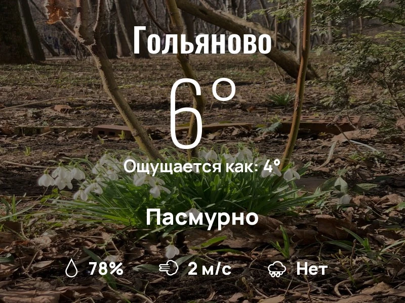 Что с погодой в Гольяново?