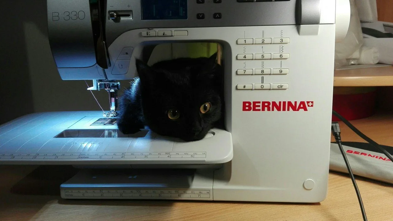 Без кота нет шитья!